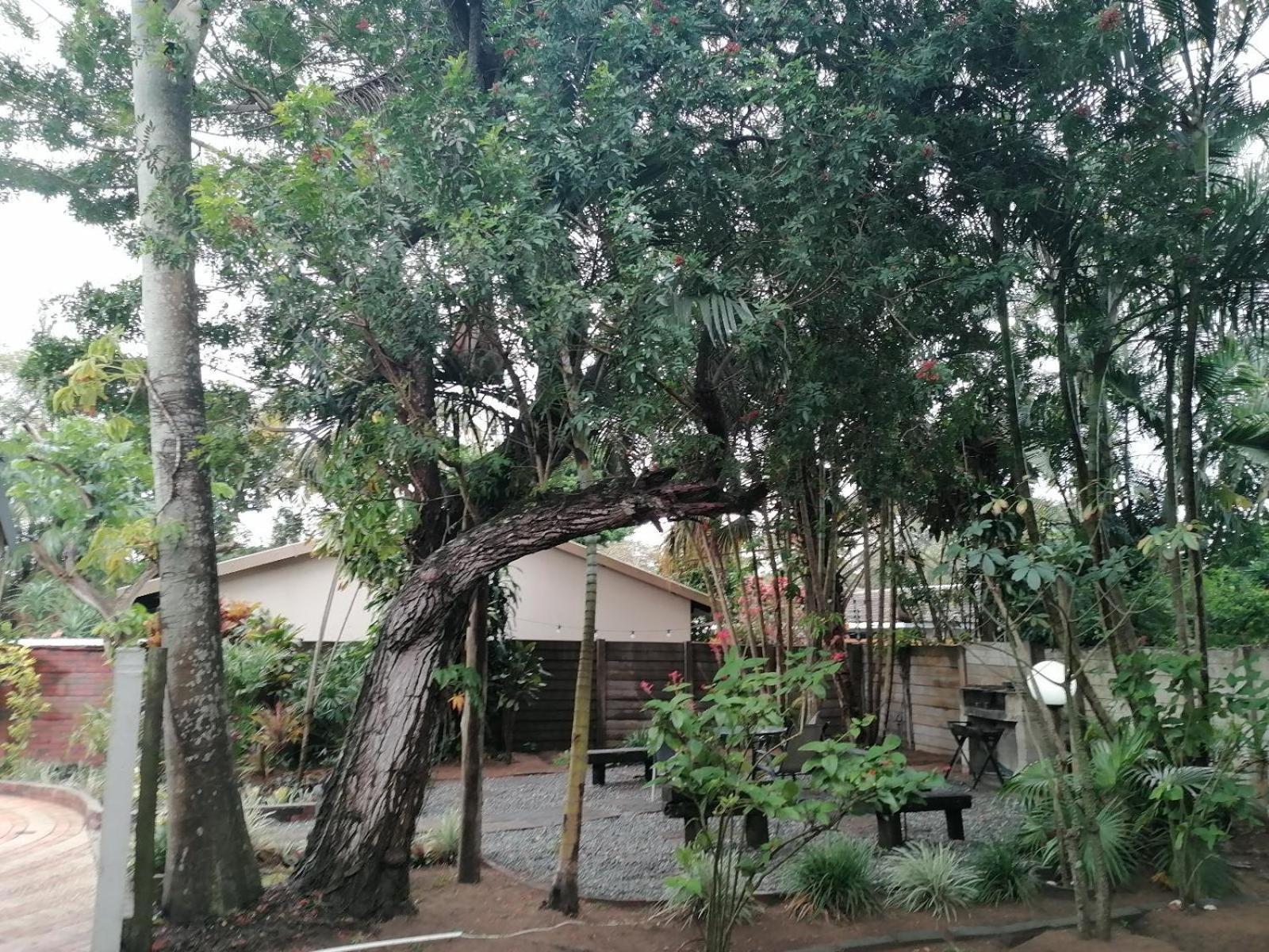 Bed and Breakfast Nqabanqaba à Richards Bay Extérieur photo